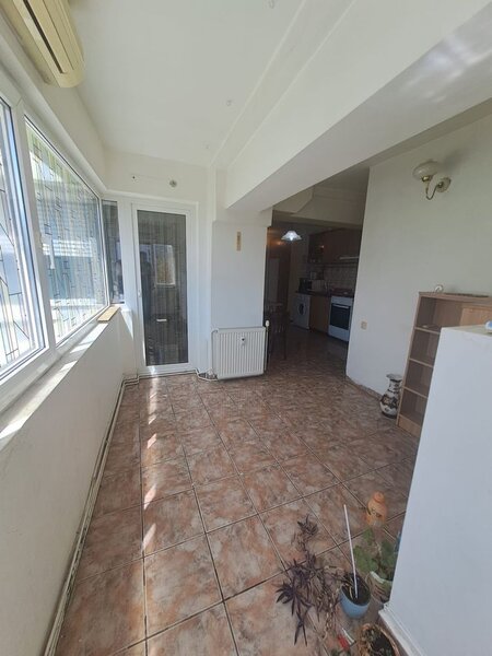 Pantelimon, Delfinului