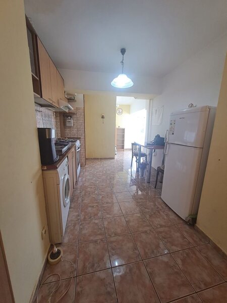 Pantelimon, Delfinului