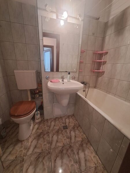 Pantelimon, Delfinului